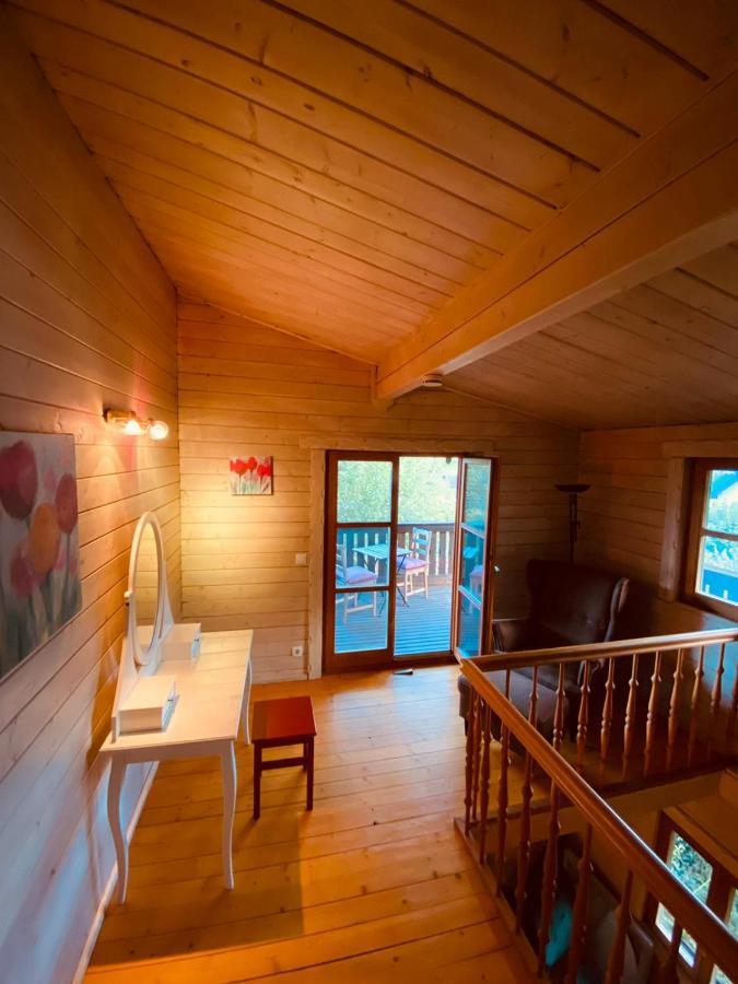 Holzhaus Auf 2000qm In Traumhafter Lage, Keine Partygruppen Hébergement de vacances Schalkenbach